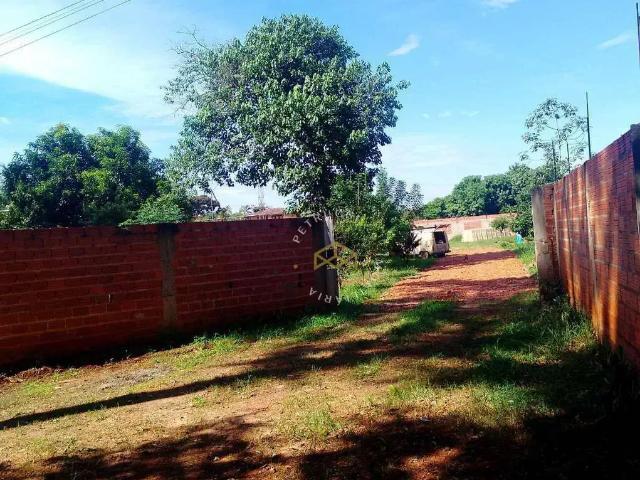 Sítio e chácara venda em Região Imediata de Campinas, Região Metropolitana de Campinas