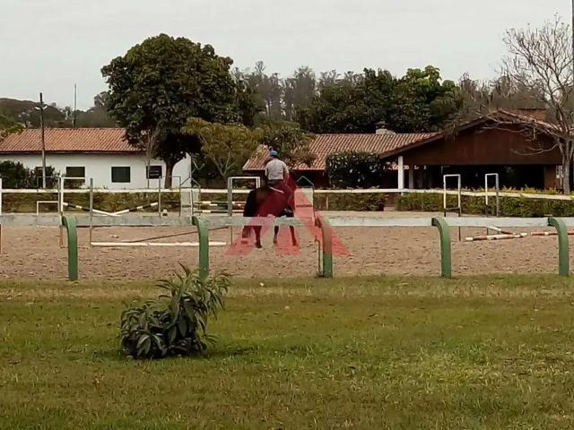 Sítio e chácara venda em Vila Nova Teixeira, Campinas