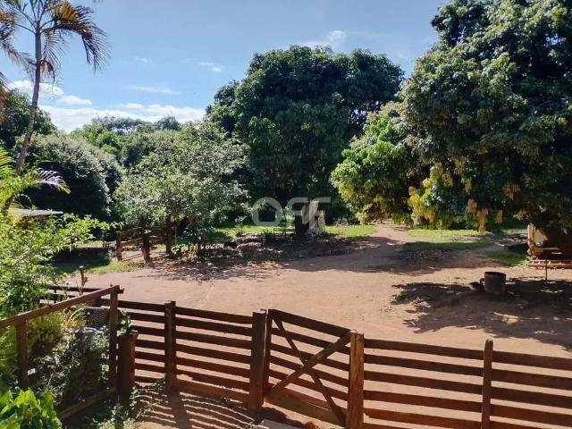 Sítio e chácara venda em Região Imediata de Campinas, Região Metropolitana de Campinas