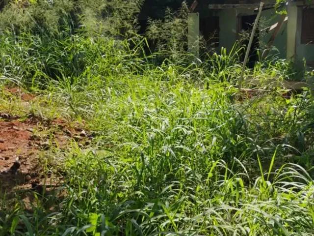 Sítio e chácara venda em Região Imediata de Campinas, Região Metropolitana de Campinas