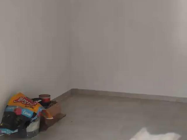 Sítio e chácara venda em Região Imediata de Campinas, Região Metropolitana de Campinas
