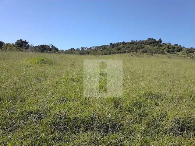 Sítio e chácara venda em Colinas do Tocantins, Região Norte