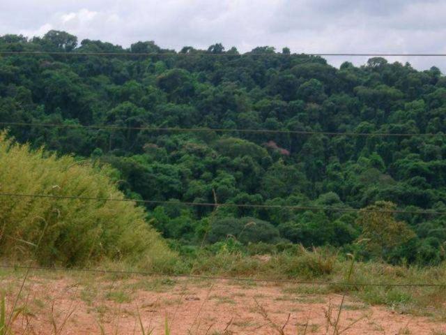 Sítio e chácara venda em Região Imediata de Campinas, Região Metropolitana de Campinas