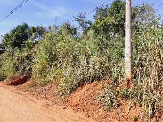 Sítio e chácara venda em Jardim São Francisco, Campinas