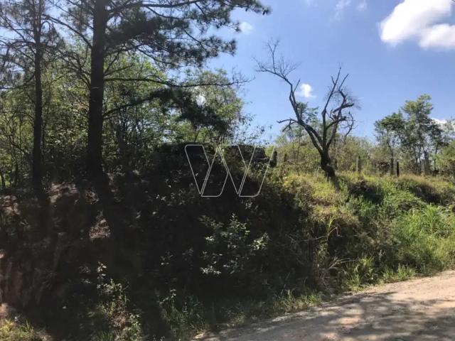 Sítio e chácara venda em Região Imediata de Campinas, Região Metropolitana de Campinas
