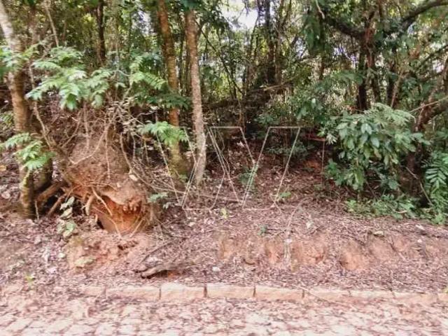 Sítio e chácara venda em Jardim São Francisco, Campinas