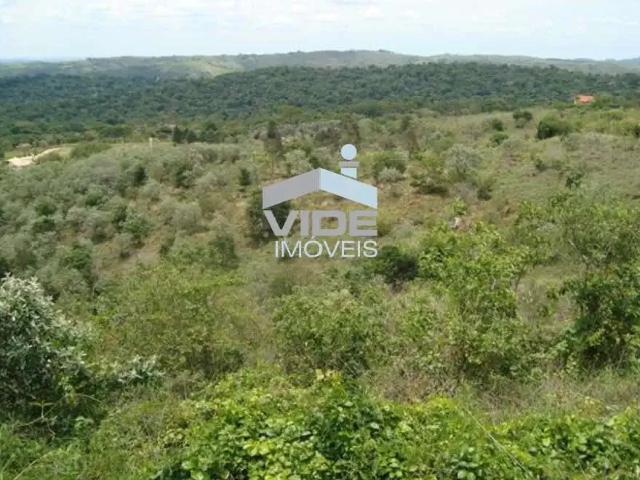 Sítio e chácara venda em Campinas