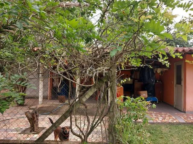 Sítio e chácara venda em Região Imediata de Campinas, Região Metropolitana de Campinas