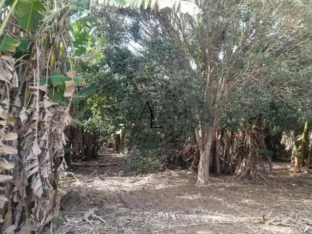 Sítio e chácara venda em Região Imediata de Campinas, Região Metropolitana de Campinas