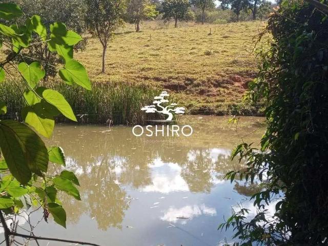 Sítio e chácara venda em Região Geográfica Imediata de Uruaçu - Niquelândia, Campinorte