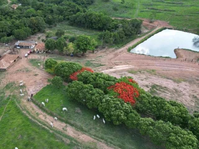 Sítio e chácara venda em Campo Alegre de Goiás, Região Geográfica Intermediária de Goiânia