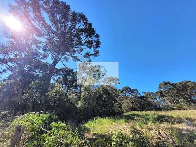 Sítio e chácara venda em Campo Alegre, Santa Catarina