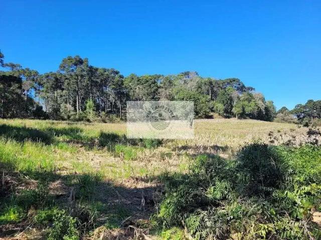 Sítio e chácara venda em Região Geográfica Imediata de São Bento do Sul-Rio Negrinho, Campo Alegre