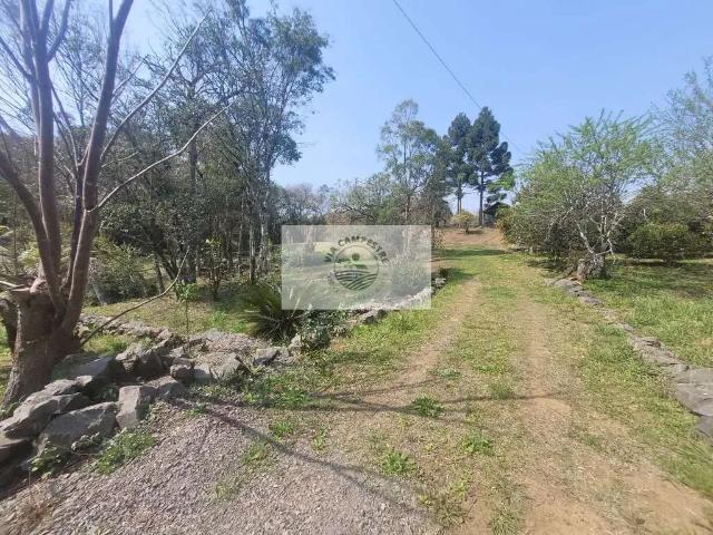 Sítio e chácara venda em Região Geográfica Imediata de São Bento do Sul-Rio Negrinho, Campo Alegre