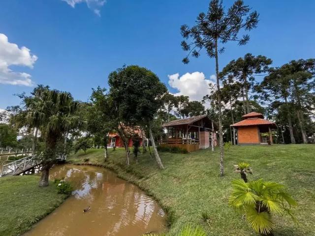 Sítio e chácara venda em Região Geográfica Imediata de São Bento do Sul-Rio Negrinho, Campo Alegre