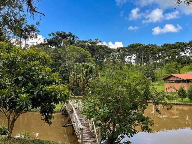 Sítio e chácara venda em Região Geográfica Imediata de São Bento do Sul-Rio Negrinho, Campo Alegre