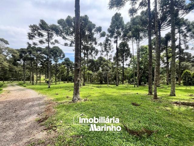 Sítio e chácara venda em Campo Alegre, Região Geográfica Intermediária de Joinville