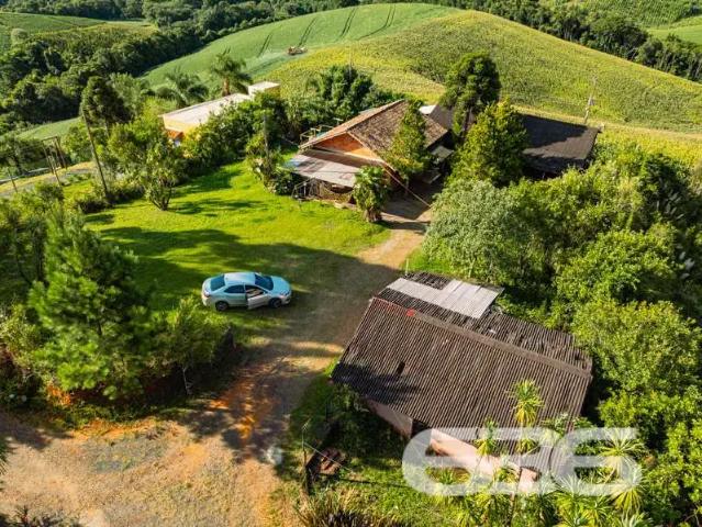 Sítio e chácara venda em Região Geográfica Imediata de São Bento do Sul-Rio Negrinho, Campo Alegre