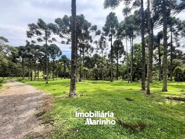 Sítio e chácara venda em Região Geográfica Imediata de São Bento do Sul-Rio Negrinho, Campo Alegre