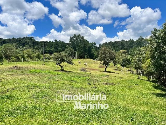 Sítio e chácara venda em Região Geográfica Imediata de São Bento do Sul-Rio Negrinho, Campo Alegre