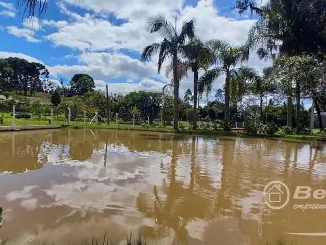 Sítio e chácara venda em Região Geográfica Imediata de São Bento do Sul-Rio Negrinho, Campo Alegre