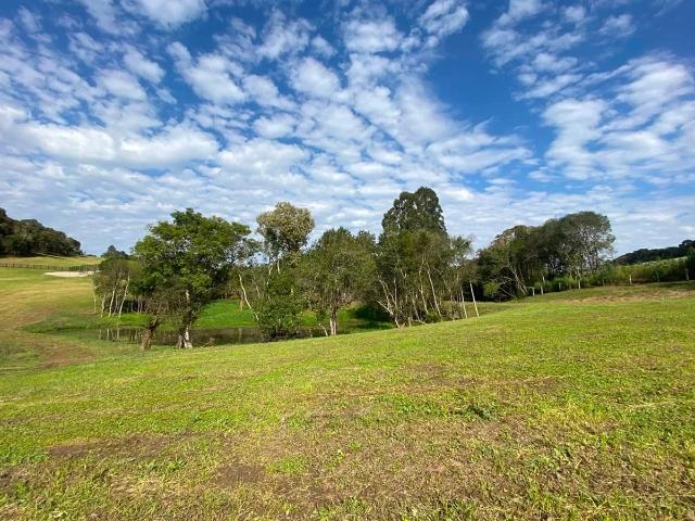 Sítio e chácara venda em Campo Alegre, Região Geográfica Intermediária de Joinville