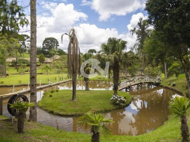 Sítio e chácara venda em Faxinal, Campo Alegre