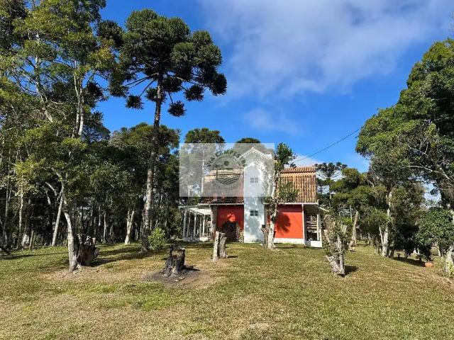 Sítio e chácara venda em Região Geográfica Imediata de São Bento do Sul-Rio Negrinho, Campo Alegre