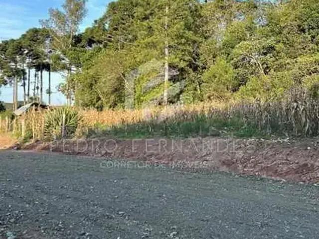 Sítio e chácara venda em Região Geográfica Imediata de São Bento do Sul-Rio Negrinho, Campo Alegre