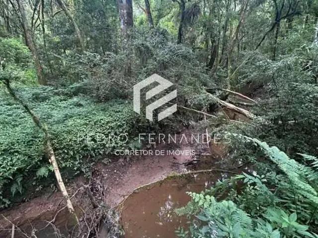 Sítio e chácara venda em Região Geográfica Imediata de São Bento do Sul-Rio Negrinho, Campo Alegre
