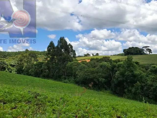 Sítio e chácara venda em Região Geográfica Imediata de São Bento do Sul-Rio Negrinho, Campo Alegre