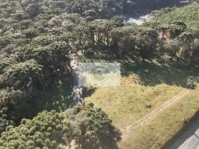 Sítio e chácara venda em Região Geográfica Imediata de São Bento do Sul-Rio Negrinho, Campo Alegre