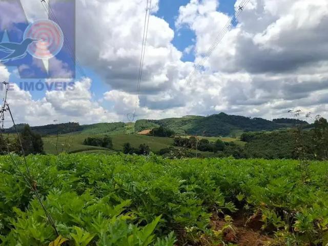 Sítio e chácara venda em Região Geográfica Imediata de São Bento do Sul-Rio Negrinho, Campo Alegre
