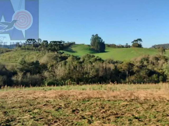 Sítio e chácara venda em Região Geográfica Imediata de São Bento do Sul-Rio Negrinho, Campo Alegre