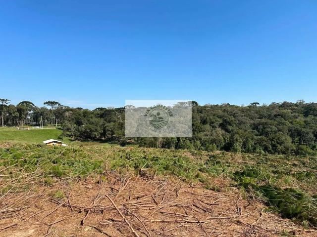 Sítio e chácara venda em Região Geográfica Imediata de São Bento do Sul-Rio Negrinho, Campo Alegre