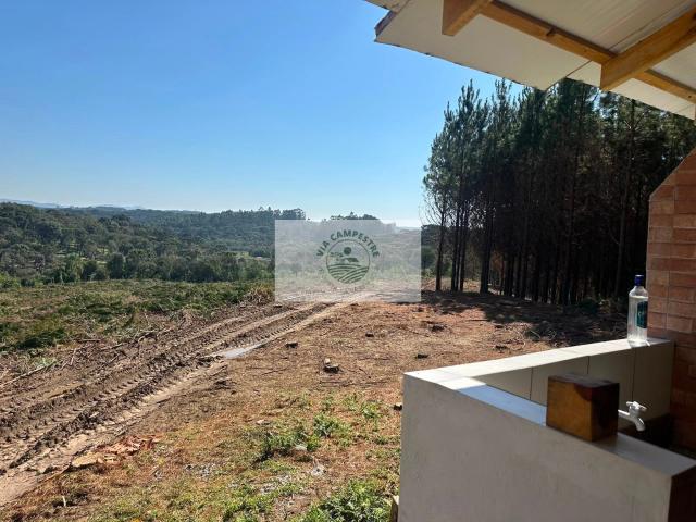 Sítio e chácara venda em Bateias de Baixo, Campo Alegre