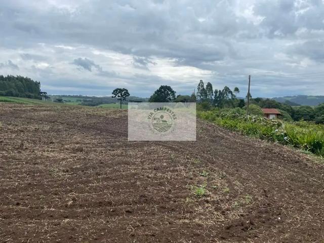 Sítio e chácara venda em Região Geográfica Imediata de São Bento do Sul-Rio Negrinho, Campo Alegre