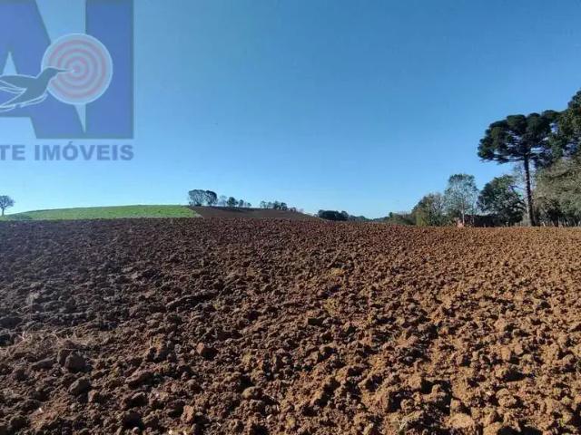 Sítio e chácara venda em Região Geográfica Imediata de São Bento do Sul-Rio Negrinho, Campo Alegre