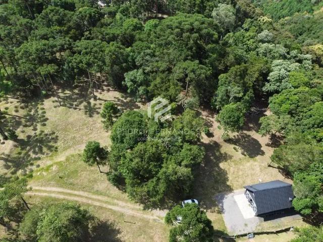 Sítio e chácara venda em Região Geográfica Imediata de São Bento do Sul-Rio Negrinho, Campo Alegre