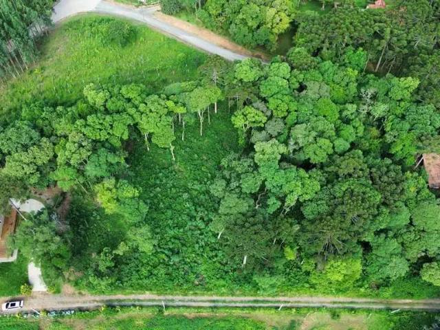 Sítio e chácara venda em Região Geográfica Imediata de São Bento do Sul-Rio Negrinho, Campo Alegre