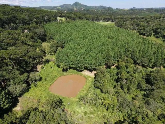 Sítio e chácara venda em Região Geográfica Imediata de São Bento do Sul-Rio Negrinho, Campo Alegre