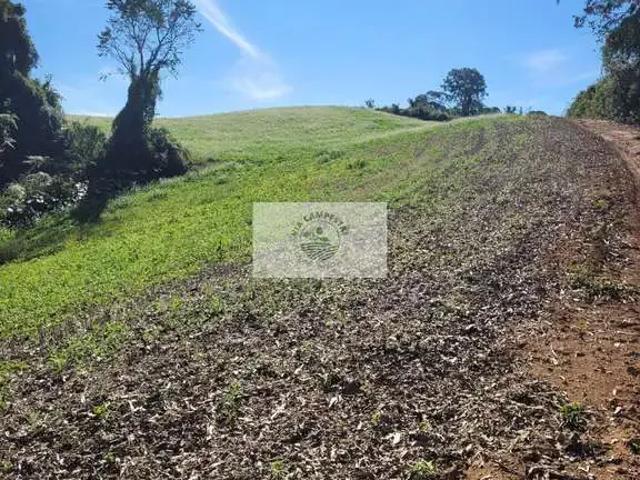 Sítio e chácara venda em Região Geográfica Imediata de São Bento do Sul-Rio Negrinho, Campo Alegre