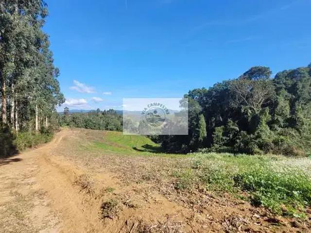 Sítio e chácara venda em Região Geográfica Imediata de São Bento do Sul-Rio Negrinho, Campo Alegre