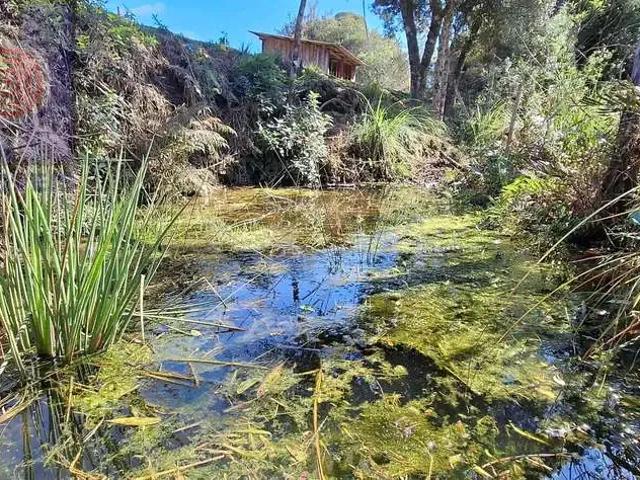 Sítio e chácara venda em Região Geográfica Imediata de São Bento do Sul-Rio Negrinho, Campo Alegre
