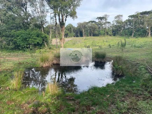 Sítio e chácara venda em Região Geográfica Imediata de São Bento do Sul-Rio Negrinho, Campo Alegre