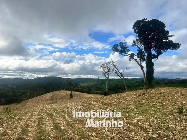 Sítio e chácara venda em Campo Alegre, Região Geográfica Intermediária de Joinville