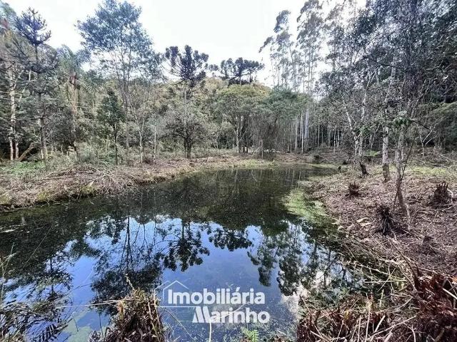Sítio e chácara venda em Região Geográfica Imediata de São Bento do Sul-Rio Negrinho, Campo Alegre