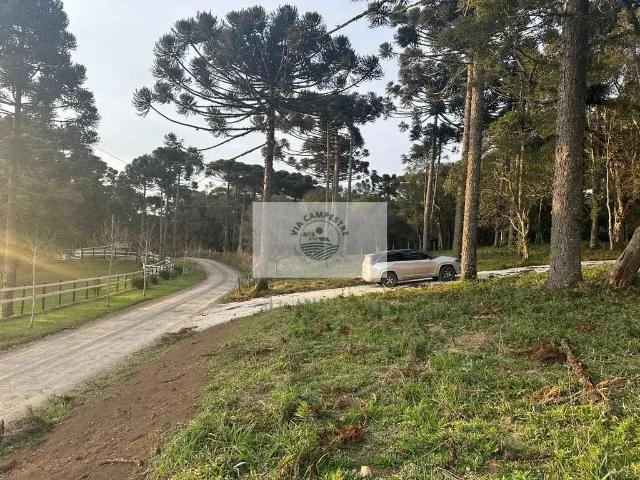 Sítio e chácara venda em Região Geográfica Imediata de Iporá, Palestina de Goiás