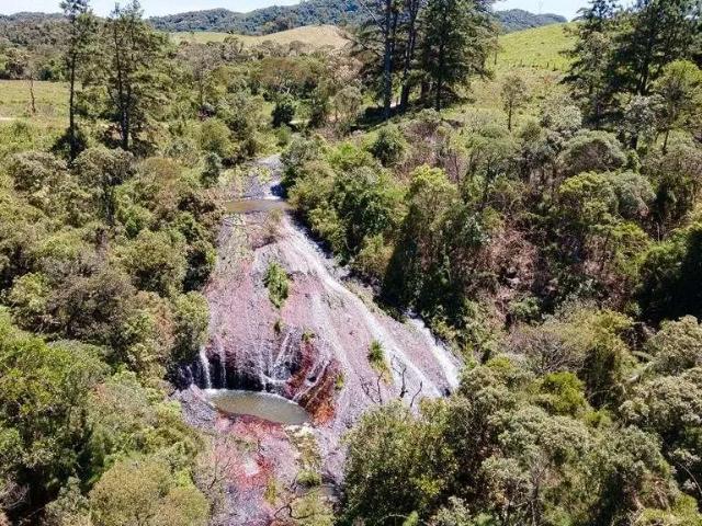 Sítio e chácara venda em Região Geográfica Imediata de São Bento do Sul-Rio Negrinho, Campo Alegre