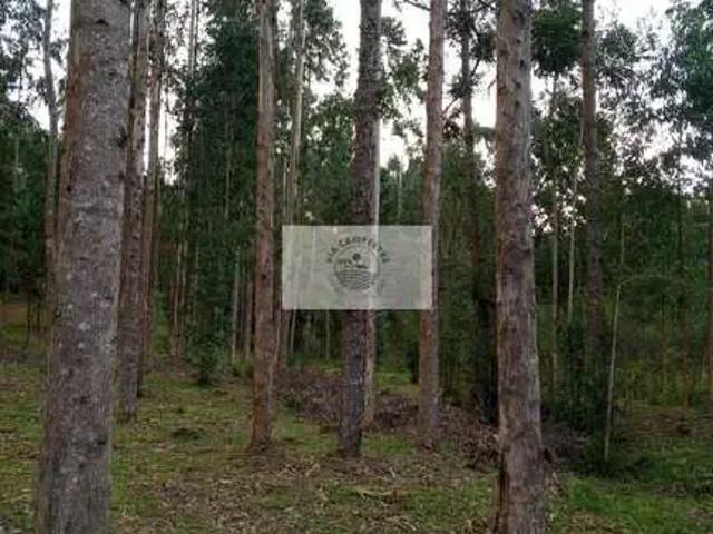 Sítio e chácara venda em Região Geográfica Imediata de São Bento do Sul-Rio Negrinho, Campo Alegre
